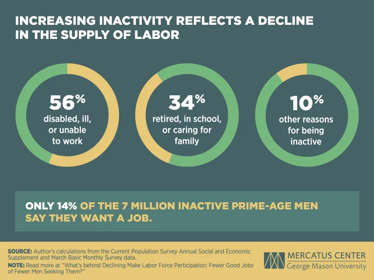 circle graphs showing reasons for increasing inactivity in the supply of labor force