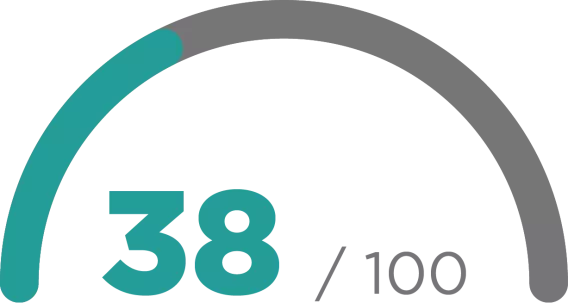 Graphic showing a state score of 38 out of 100 points
