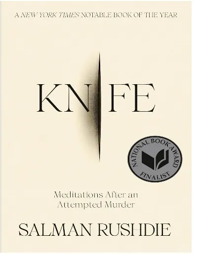 economics in america book cover