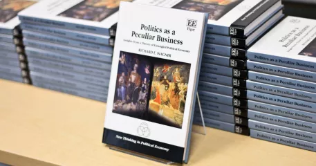 politicsasapeculiarbusinessdisplay.png