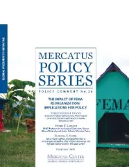 publication-FEMA_GPI_icon.JPG