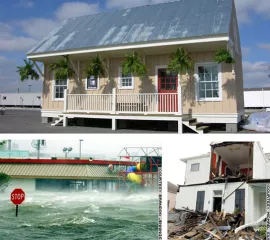 publication-Katrina_and_the_social_organization_of_disaster_recovery.jpg