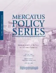 publication-Microfinance_in_Action_-_Phillipine_Experience.jpg
