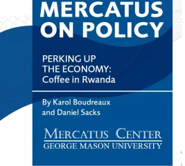 publication-PerkingUpEconomy.JPG