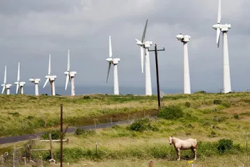windfarm500.jpg