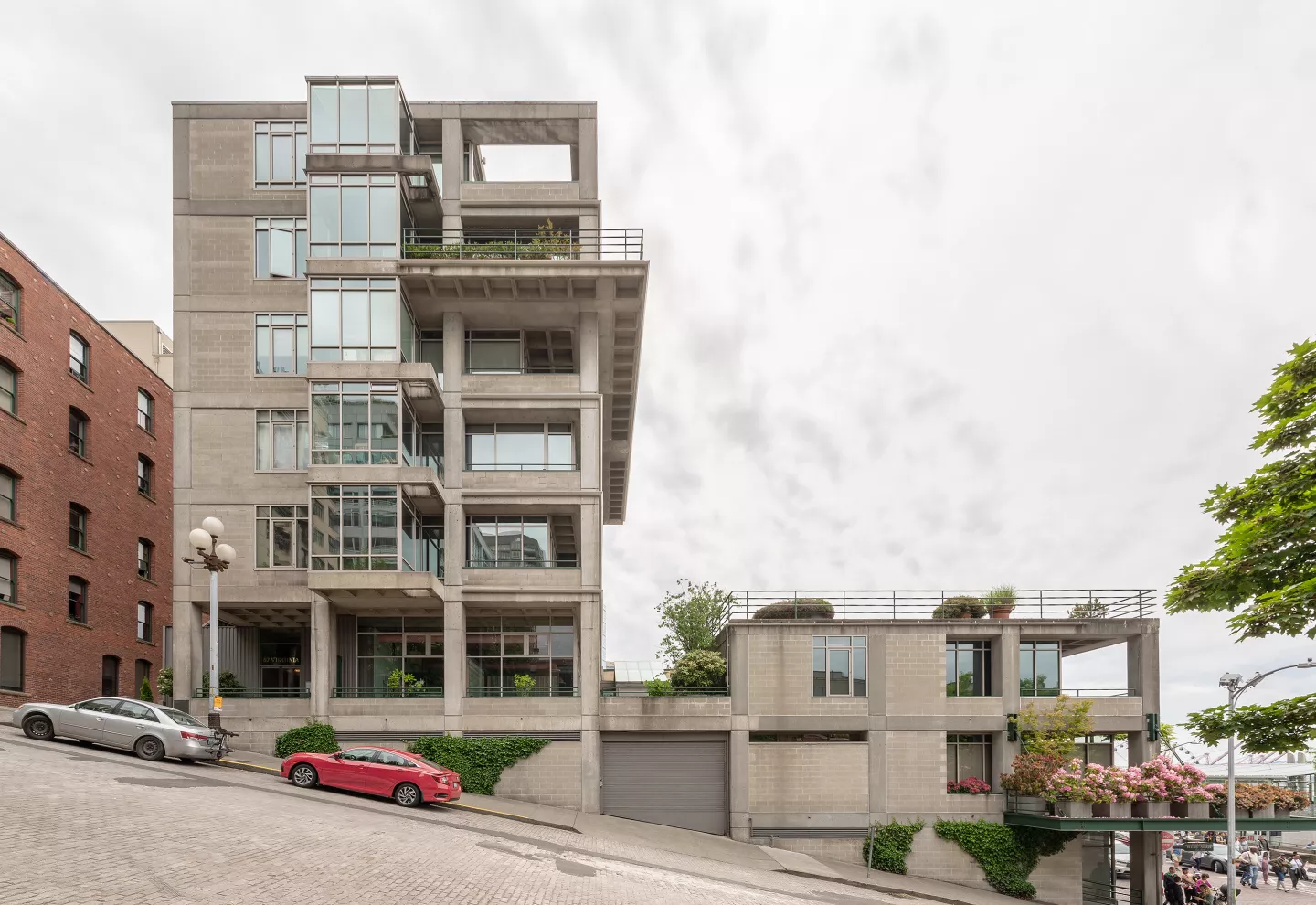 Photograph courtesy of Andrew Van Leeuwen Photography